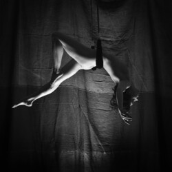 Sibylle